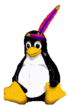 Apache Pinguin